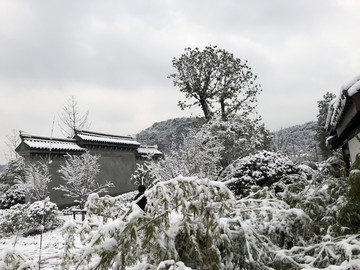 雪景