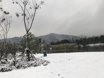 雪景