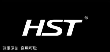 HST LOGO 标志