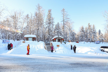 积雪森林 白雪皑皑 树林 积雪