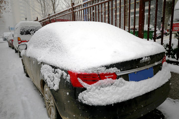雪中的汽车