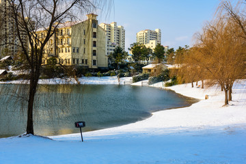 乐湖度假区雪景