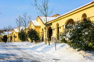 乐湖度假区雪景