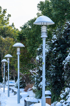 园林路灯雪景