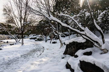 园林雪景