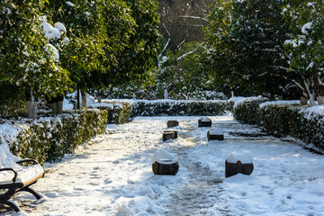 园林雪景