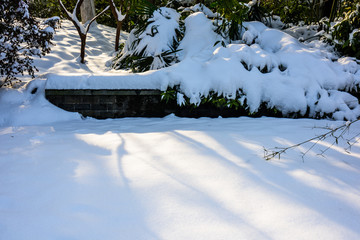 园林雪景