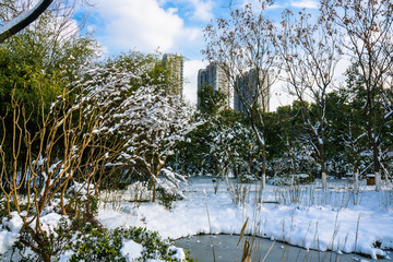 园林雪景