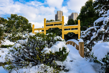 园林雪景