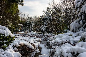 园林雪景