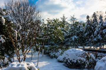 园林雪景