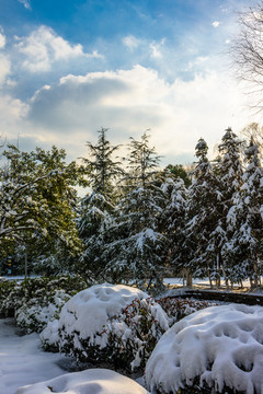 园林雪景