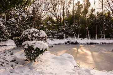园林雪景