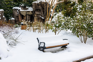 园林雪景