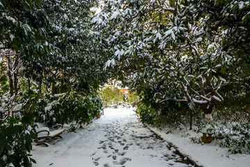 园林雪景