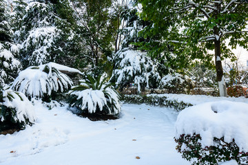 园林雪景