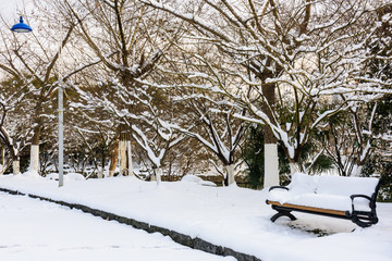 园林雪景