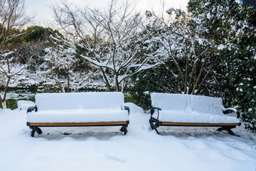 园林雪景