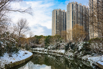 园林雪景