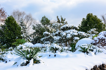 园林雪景