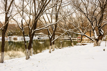 湖边雪景