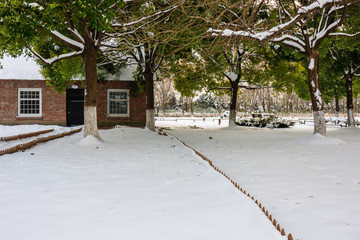 园林雪景