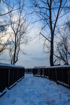 滨江雪景