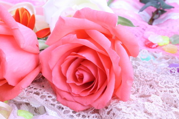 红色玫瑰花