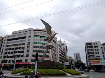 飞鹰