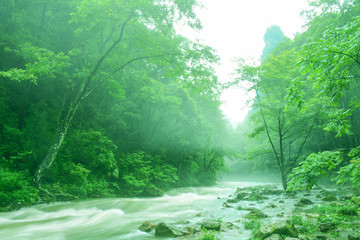 张家界山水风景森林溪流