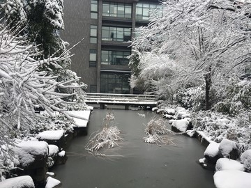 雪景