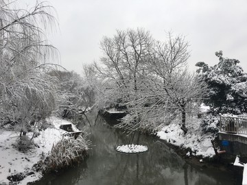 湖面