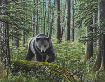 风景油画 油画 森林 熊
