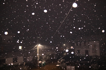 冬日飘雪