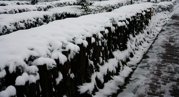 雪景