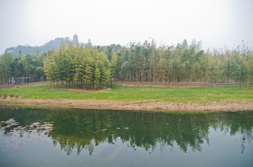 湖畔竹林