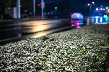 雪夜街景