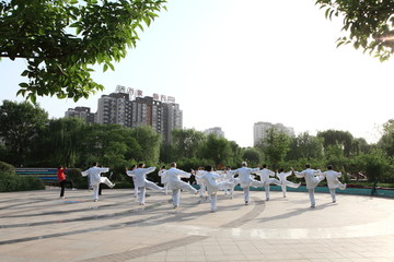 晨练 太极拳 老年人