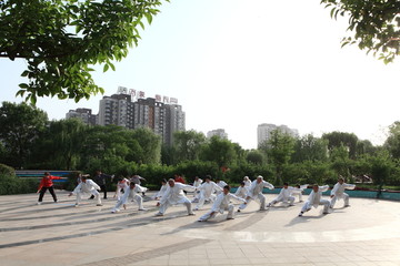 晨练 太极拳 老年人