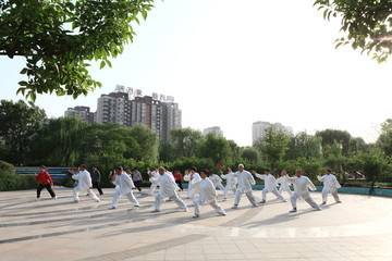 晨练 太极拳 老年人