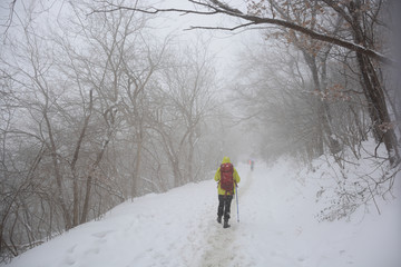 南京紫金山雪景