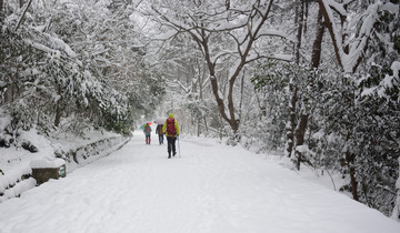 南京紫金山雪景