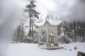 南京灵谷寺雪景