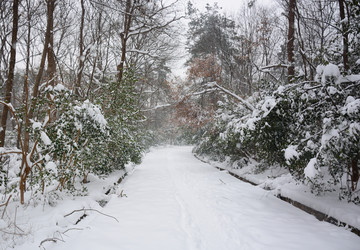 南京灵谷寺雪景