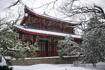 南京灵谷寺雪景