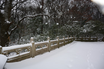 南京灵谷寺雪景