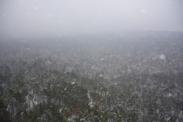 南京灵谷寺雪景