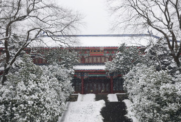 南京灵谷寺雪景