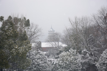 南京灵谷寺雪景