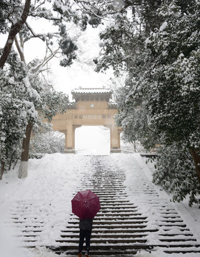 南京灵谷寺雪景